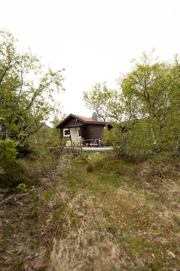 Haugteig Villa Lyngvaeret Bagian luar foto