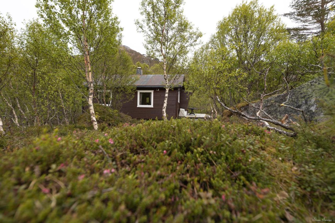 Haugteig Villa Lyngvaeret Bagian luar foto