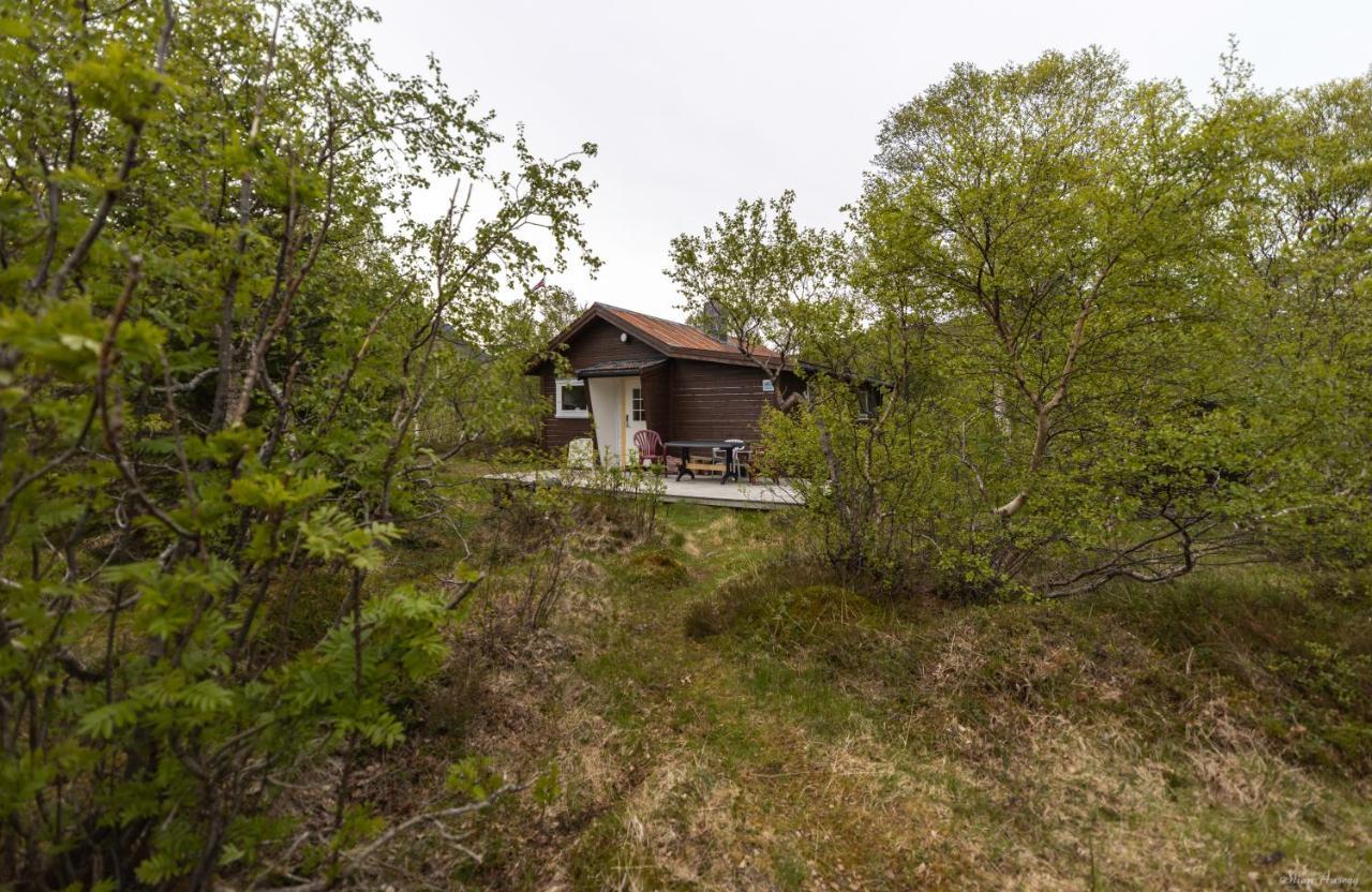 Haugteig Villa Lyngvaeret Bagian luar foto